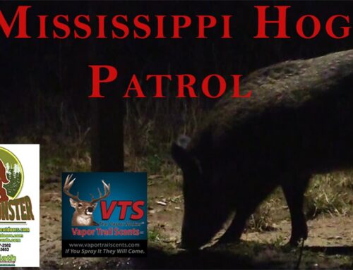 GHILLIE MONSTER OUTDOORS – MISSISSIPPI HOG PATROL WITH THE AFTERMATH BROADHEAD