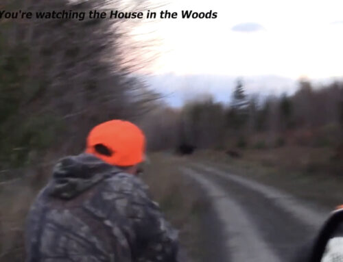 THE HOUSE IN THE WOODS SEASON 1 EPISODE 1