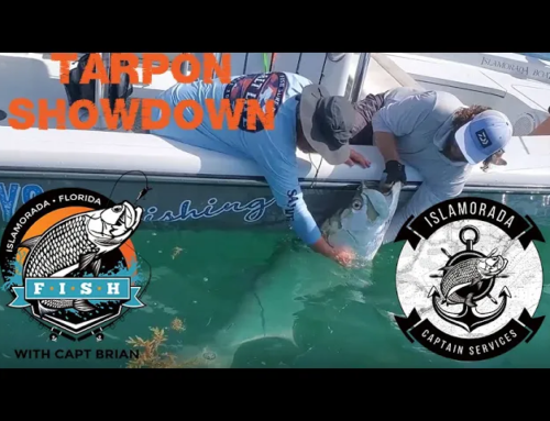 HOGGER BOYS – TARPON FIGHT IN THE FLORIDA KEYS – FLORIDA FISHING