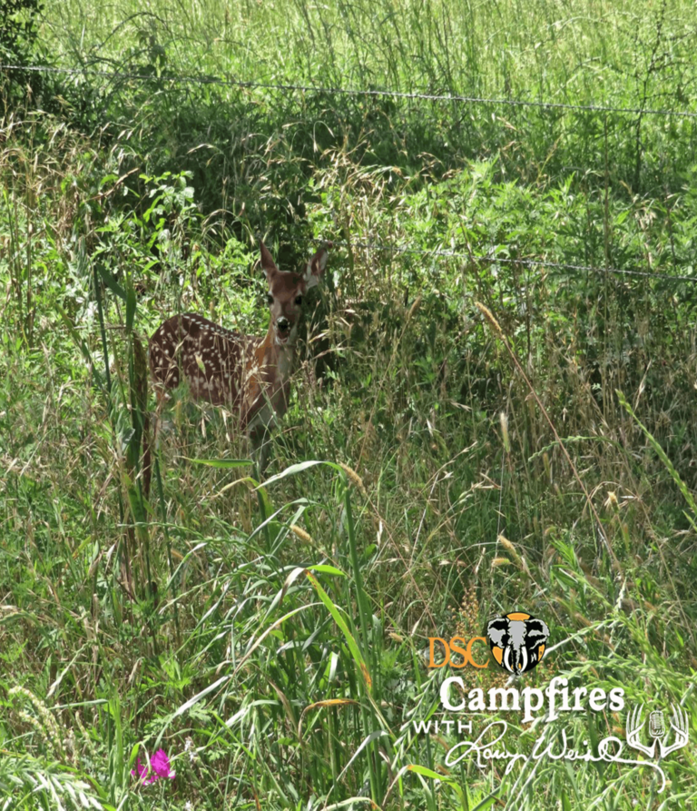 EP: 181 Spring Whitetail Activities, “Needs” to Know