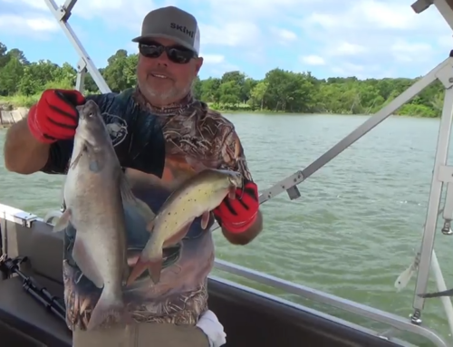 A Sportsman’s Life – Shallow Water Catfishing