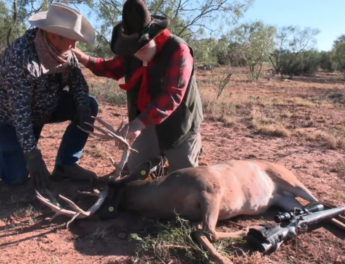 A Sportsman’s Life – World Class Whitetails