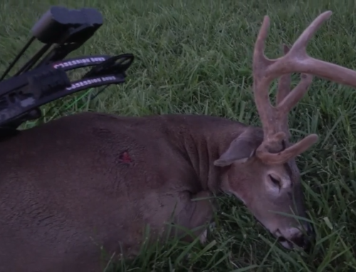 Surrender Outdoors – SE10 EP1 Whitetail Deer Hunting in Kentucky: Early Season Velvet Bucks