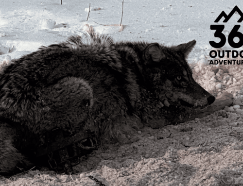 365 Outdoor Adventures – PA Hunting